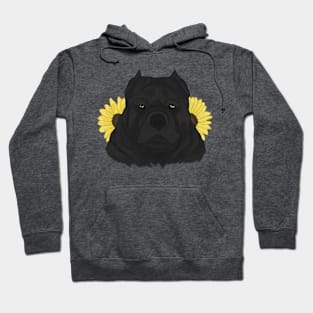 Black American Bully with Sunflowers Hoodie